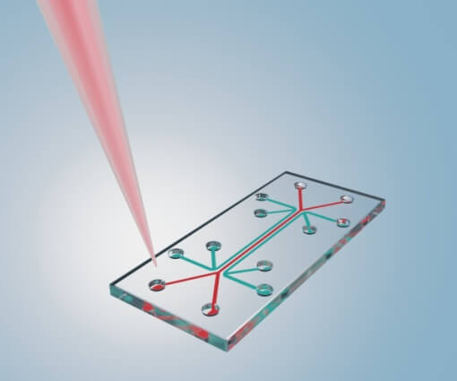 Microfluidic Devices Microfluidic Devices
